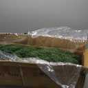 4FT Artificial Cedar Topiary Trees UV Resistant Potted Plant Set of 2 Faux Pine Trees Fake Shrubs Artificial Plants for Front Porch Garden Indoor Outdoor (Green)