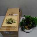 K&Y Realistic Artificial Potted Plants Olive Wild Fern Berry Decor Low Maintenance Faux Greenery Indoor Fake Plants for Home Office Bathroom Kitchen Desk Shelf (Gray Flowerpot Potted Plant)
