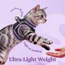 Rabbitgoo Cat Harness and Leash Set for Walking Escape Proof, Adjustable Soft Kittens Vest with Reflective Strip for Cats, Comfortable Outdoor Vest, Black & Light Purple, L