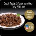 Cesar Filets in Gravy Poultry Lovers Variety Pack Wet Dog Food, 3.5 oz., Count of 12