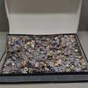 4,000 Piece Puzzle - The World Map