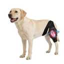 Noorace Dog Knee Brace for ACL CCL Support, Hind Leg Mobility Support, XS