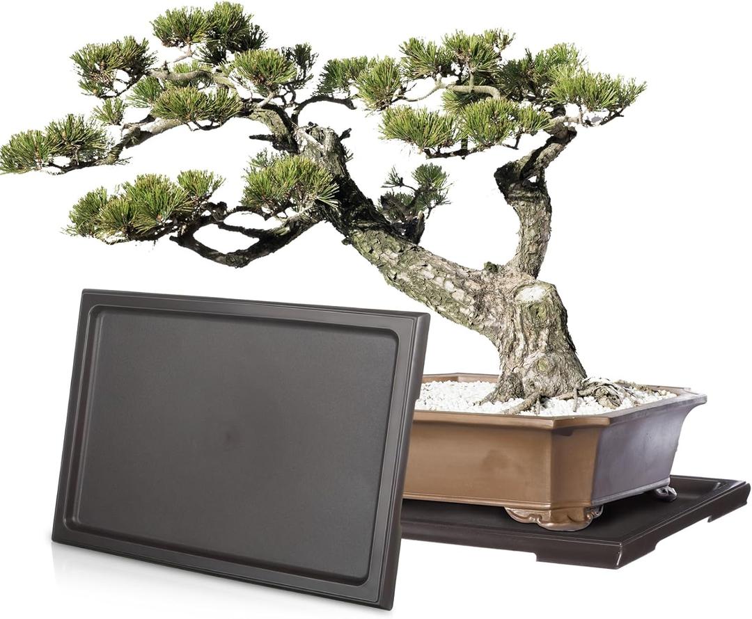 Pinkunn 2 Pcs Bonsai Humidity Tray Rectangular Drip Tray Plastic Plant Water Catcher Plant Saucers for Indoors and Outdoors Cactus,Succulents,Bonsai Tree,Stone Not Included (11 x 8 Inch)