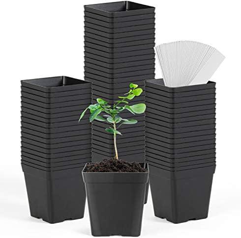 June Fox Square Nursery Pots 3.3 Inches Flexible Plastic Seedling Pots Square Pots for Plants, Succulent, Flower, Pack of 60, with 60 PCS Plant Labels
