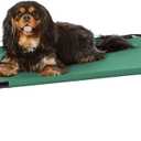 Amazon Basics Cooling Breathable Elevated Dog Bed with Metal Frame for Small Dogs, 36" x 22" x 7.5", Green