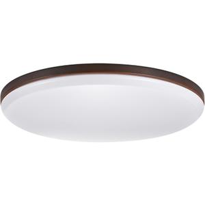 GLOBE Electric 65596 Ellington LED Integrated Flush Mount Ceiling Light, Dark Bronze Finish, Frosted Shade, Energy Star Certified, Ultra Slim Design
