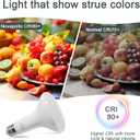 LED Flood Light Bulbs, BR30 Dimmable 750LM Recessed Light Bulbs, 8W(65W Equivalent), CRI80, 2700K Soft White, 15000 Hours, E26 Base LED Can Bulb, 6 Pack