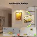 16" Light for Wall Picture with 6000mAh Battery - Brass Operated Wireless Wall Art Light with Remote Control for Artwork, Mirror & Portrait, 16IN 1Pack
