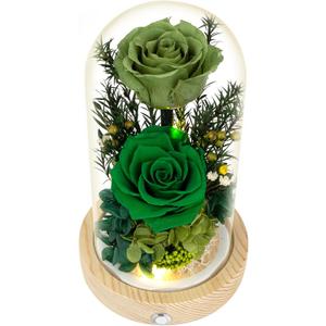 Preserved Roses & Fresh Flowers Bouquet  Gift for Women, Roses That Last Forever, Flowers for Delivery Prime, Green Roses  Birthday, Mothers Day & Christmas