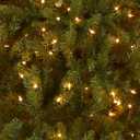 National Tree Company 6 ft Pre-Lit Dunhill Fir Artificial Christmas Tree, 600 Warm White LED Lights, 1,430 Tips, Includes Stand, Green