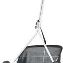 American Lawn Mower Company 1604-16 16-Inch 5-Blade Walk Behind Reel Mower with Grass Catcher