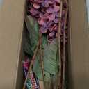 Burgundy Hydrangea Artificial Flowers,Fall Hydrangeas Artificial Flowers, Fake Fall Dried Hydrangea Decoration,Faux Silk Flower with Stems Winter Decor(Red Rose 24" 8pcs) Without Vase