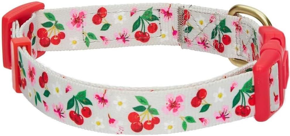 Blueberry Pet 7 Patterns Cherry Garden Grey Adjustable Dog Collar with Dainty Flowers, Medium, Neck 14.5"-20"