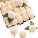 Ling's moment Cream Dahlia Foam Artificial Flowers Real Touch Faux Fake Flower for Home Decor Graduation Baby Shower Decorations Outdoors Party Favors Wedding Gifts Centerpieces Arrangements 25pcs