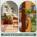 Baderke 6 Sets of Plastic Wall Planters for Indoor Plants Plant Propagation Station Hanging Planter Propagation Vases with Flower Pot Holder Ring for Artificial Wall Plants Indoor Outdoor Decor