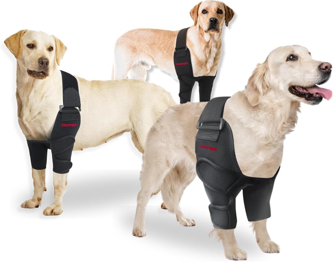 Dog Elbow Protector for calluses & Arthritis Brace, Hygroma Elbow Pads for Dogs. Dog Elbow Brace Front Leg Support, Dog Leg Brace Front. Shoulder brace. dogleggs dog elbow callus protector - Large Dog Elbow Protector for calluses & Arthritis Brace, Hygroma Elbow Pads for Dogs. Dog Elbow Brace Front Leg Support, Dog Leg Brace Front. Shoulder brace. dogleggs dog elbow callus protector - Large