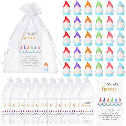 Silipull 60 Sets Good Luck Gifts Bulk Mini Resin Gnomes Charm with Story Cards and Organza Bag Little Tiny Gnomes Pocket Token Valentines Exchange Gifts for Women Friends Coworkers Appreciation Favor