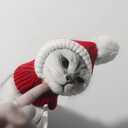 ULTECHNOVO Winter Dog Warm Hat, Funny Cat Dog Christmas Hat Adorable Pet Knitted Woolen Hat Christmas Snood Pet Headwear for Dog Puppy (Red, Size)