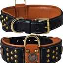 Premium Leather Cupola Series Collar for Large Dogs | Celtic Conchos & Gold Dome Rivets | 2 Inch Wide | Soft, Heavy Duty, Cushion Padding | (L (Neck Size 18.5"-22.5"), Sable Black)