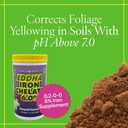 Grow More 0.2-0-0 EDDHA Iron Chelate for Greener Plants on Soils with pH of 7 or Above - 1lb of Water Soluble Chelated 6% Iron for Plants
