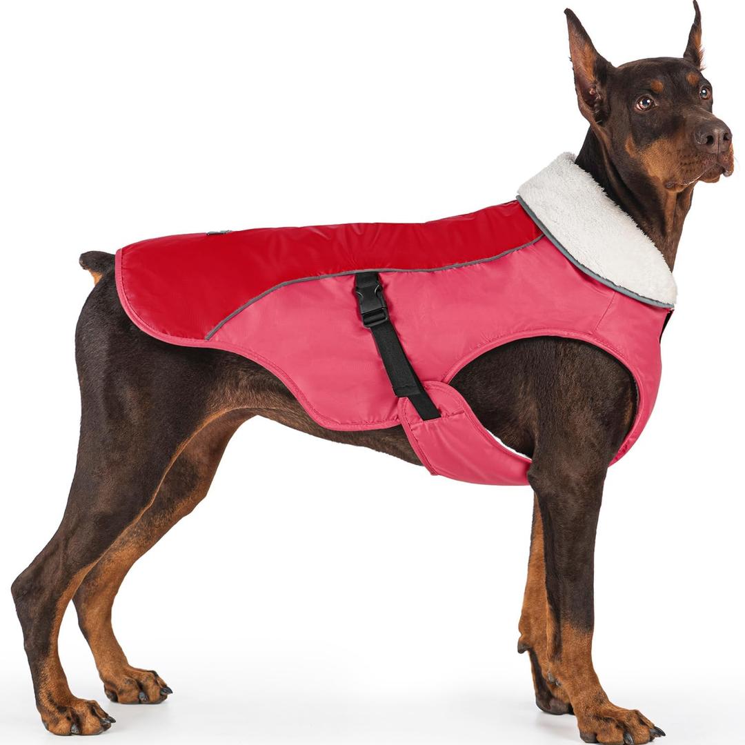 EMUST Dog Coat Winter, Warm Dog Snow Jacket for, Adjustable Small/Medium/Large Dogs Coat/s for Winter, New Orange, L