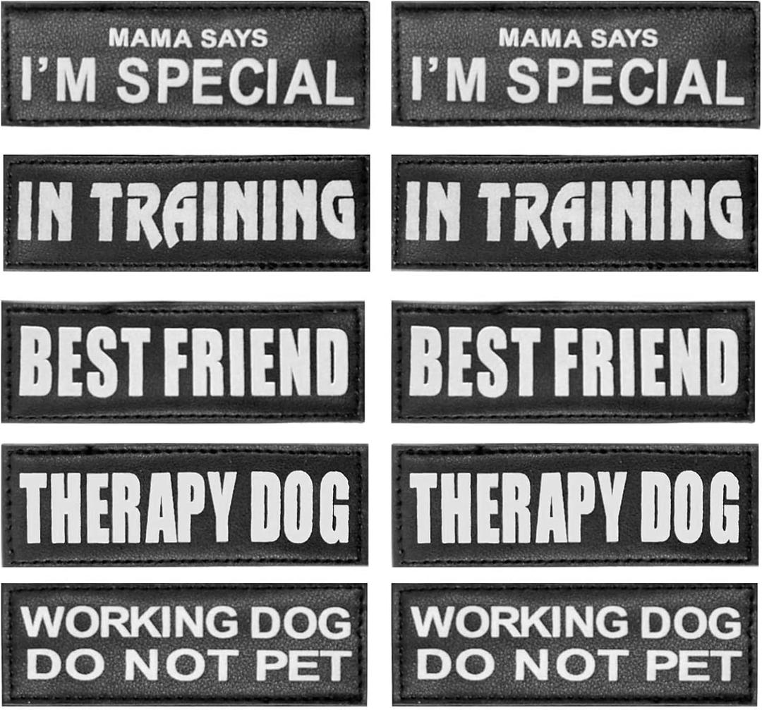 AUROTH Service Dog Patch 10 Pieces, Dog Vest Patches Service Dog in Training Patches, Reflective and Removable Dog Harness Patches for Service Dog Vest (M-4.5X1.5)