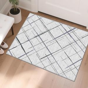 Modern Indoor Entryway Rug, 2'x3' Small Rugs for Entryway Indoor, No Pile Tear and Stain Resistance, Non-Slip, Hand Woven Style Washable Thin Rugs for High Traffic Door Mat Entrance- White
