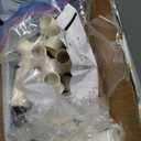 Extra Large Swimming Pool Storage Organizer Upgraded 280-Gallon Rolling Bin with Wheels Side Pockets Float Noodles Holder Mesh Cart for Pool Toys Swim Rings Surfboards Beach Gear Patio Yard Organizer