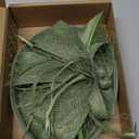 Zinniday Green Tea Party Hat - 1920s 50s Kentucky Hats Girl Victoria Feather Derby Fascinators with Veil Church Halloween Renaissance Masquerade Dress Up for Women, 7.87x5.9inch