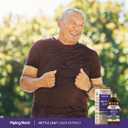 Piping Rock Nettle Leaf Extract Liquid | 4 Fl Oz | Herbal Botanical Tincture | Alcohol Free Drops | Urtica Dioica | Non GMO, Gluten Free Supplement