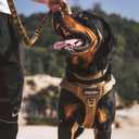 EXCELLENT ELITE SPANKER Tactical Dog Harness Vest with Handle Military Dog Harness Adjustable Training Harness No Pull Dog Harness for Small Medium Large Dogs(Ranger Green-M) (M (Chest:27.5''-35.4''))