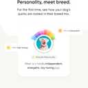 Embark Breed & Health Kit - Dog DNA Testing Kit - Discover Breed, Ancestry, Relative Finder, Genetic Health, Traits, Allergy Risk Scores (1 Count (Pack of 1))