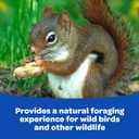 Kaytee Peanuts in Shell, 5 lb (EXP 11/28/25)