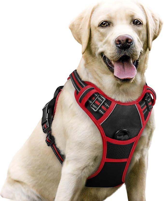 rabbitgoo Dog Harness No Pull with 2 Leash Clips, Adjustable Soft Padded, Reflective Oxford No Choke Pet Vest with Easy Control Handle for Medium Sized Dogs, Black & Red, M