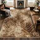 Area Rug 5x7 Rug Machine Washable Non-Slip Low Pile Print Pattern Western Rug for Living Room Bedroom Entryway Tribal Series-Abstract/Cowhide