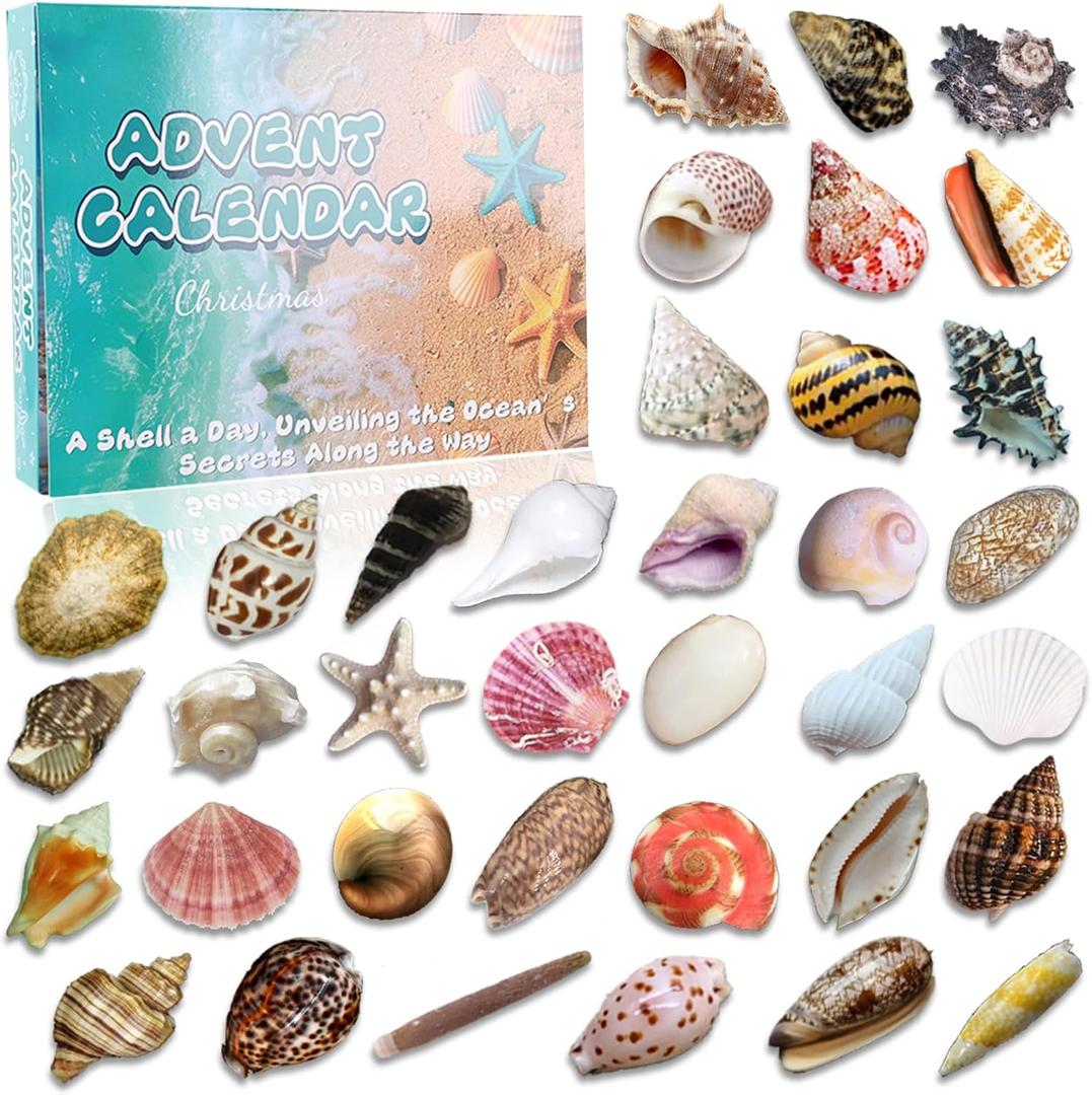 Natural Ocean Christmas Advent Calendar 2025 for Kids, 24 Days of Random Shells, Conchs, Starfish Blind Box Christmas Countdown Gift for Boys, Girls, Teens & Adults Sustainable Coastal Gift