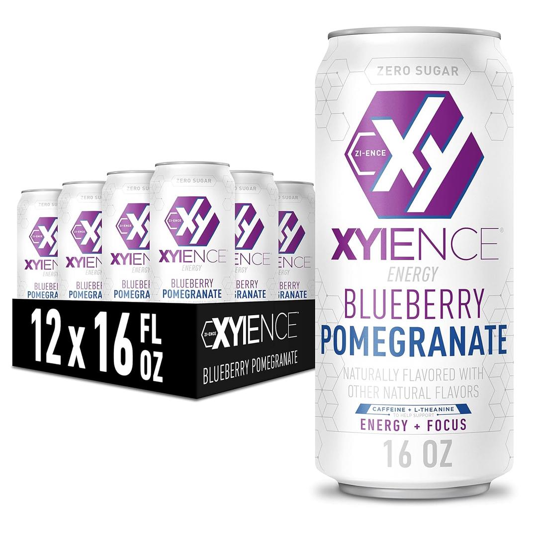 Xyience Blueberry Pomegranate Energy Drink, 16 fl oz Can (Pack of 12), BBD: 01/03/2027