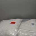 Greendale Home Fashions Sunbrella 20'' Square Outdoor Throw Pillow with Removable Cover (Set of 2), Cast Pumice