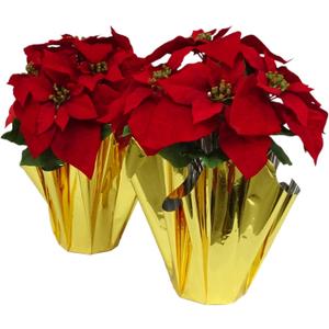 2 PCS Big 17.5" H Real Velvet Artificial Poinsettia Paper Pot w 7 Big Flower Heads (@ 11" W) for Christmas Decoration at Home Door Entryway Living Room Stair Corridor Office Shop (Xmas Decor) (Red)