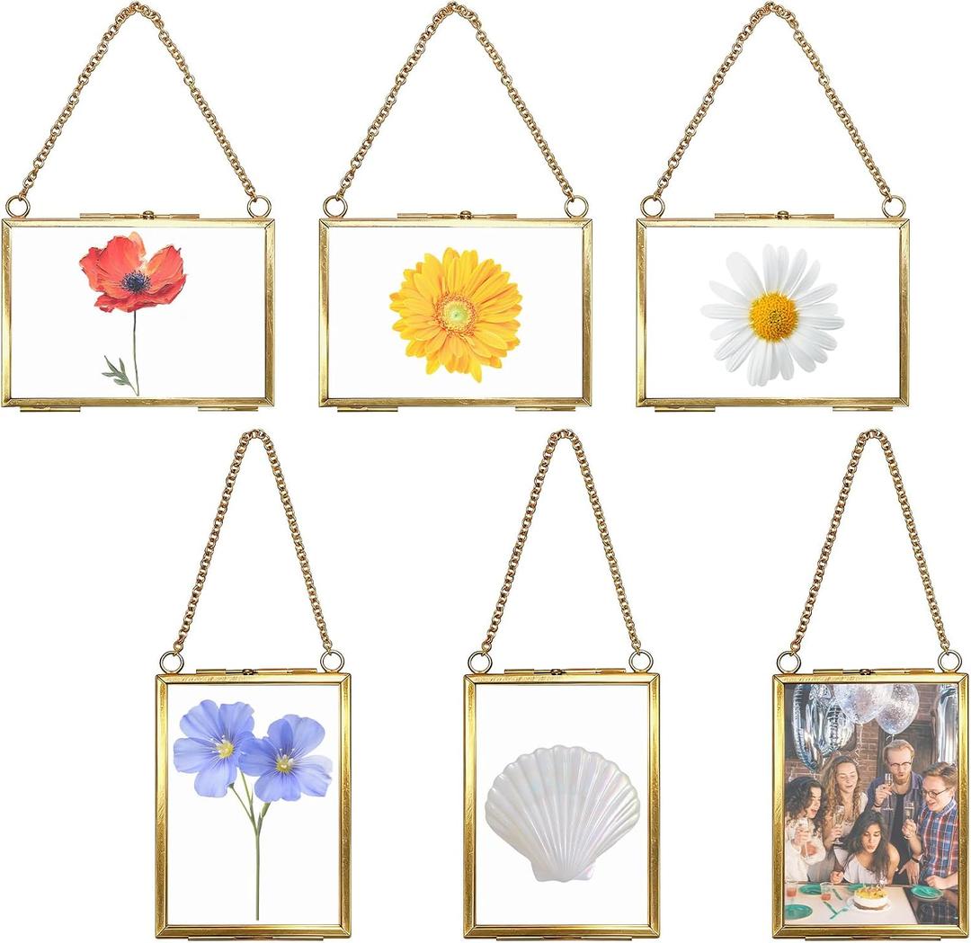 6 Pcs Brass Hanging Mini Photo Frame Double Glass Floating Picture Frame with Chain Vintage DIY Display Frame for Pressed Flowers Artwork Home Wall Decor(3.5x2.5 Inch)
