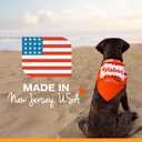 Nylabone Healthy Edibles WILD Natural Longer-Lasting Chew Treats, Bison Flavor, Large Dogs Up to 50 lbs - Made in USA (1 Count) (EXP 07/01/26)