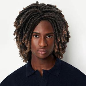 PHOCAS Short Dreadlock Wig for Black Women and Men Twist Dreadlock Wigs Short Twist Afro Curly Wig Synthetic Wig(black to brown)