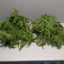 2-Pack 6FT Artificial Norfolk Pine Christmas Garland - Real Touch PE Faux Greenery, Waterproof Indoor Outdoor Decor for Mantel, Staircase, Fireplace, Front Door, Holiday Xmas Decoration