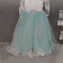 Abaowedding Lace Embroidery Sheer Long Sleeves Kids Trailing Gowns (10, Aqua)