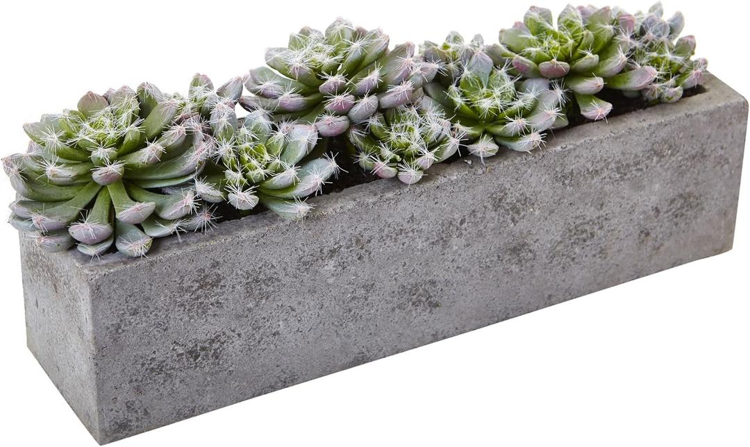Nearly Natural Succulent Garden with Textured Concrete Planter