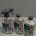 Amazon.com: Seventh Generation Foaming Dish Spray, Honey Crisp Apple 16 Fl Oz (Pack of 3), Refill Pack of 3 with 1 Sprayhead : Everything Else