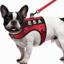 FAYOGOO Service Dog Vest for Small Dogs - Air Mesh Breathble Emotional Support Animal Vest with DIY Patches - Puppy Harness and Leash Set Adjustable Neck and Chest (XS, Red)