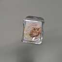 2 x Christmas Tree Decorations, Acrylic Christmas Tree Ornaments, Double-Printed Animal Hanging for Christmas Tree, Home Decor, Children's Gifts (Owl) (Moon-owl 2)