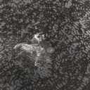 Frigidaire, 4.5 cu ft Refrigerator, Stainless Steel Door, Platinum Series