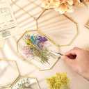 Woanger 100 Pcs Mini Dried Babys Breath Flowers Bulk for Resin Art DIY Craft Dried Natural Gypsophila Branches for Wedding Card Making, Gifts Wrap, Pressed Baby's Breath Flowers Bouquet, 5 Colors